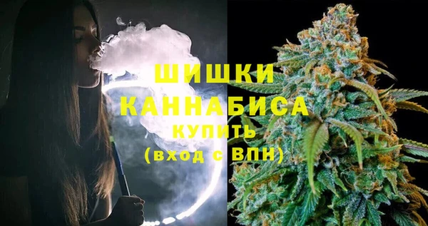 шишки Армянск
