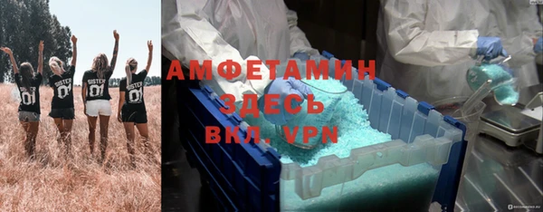 шишки Армянск