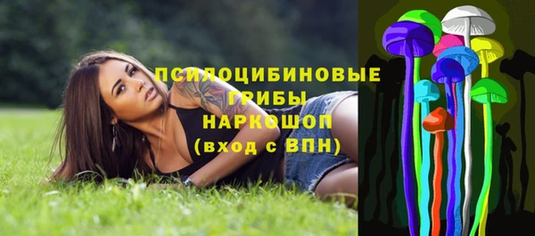 МДПВ Аркадак